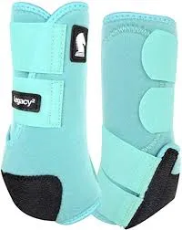 CLASSIC Legacy2 HIND SPLINT BOOT